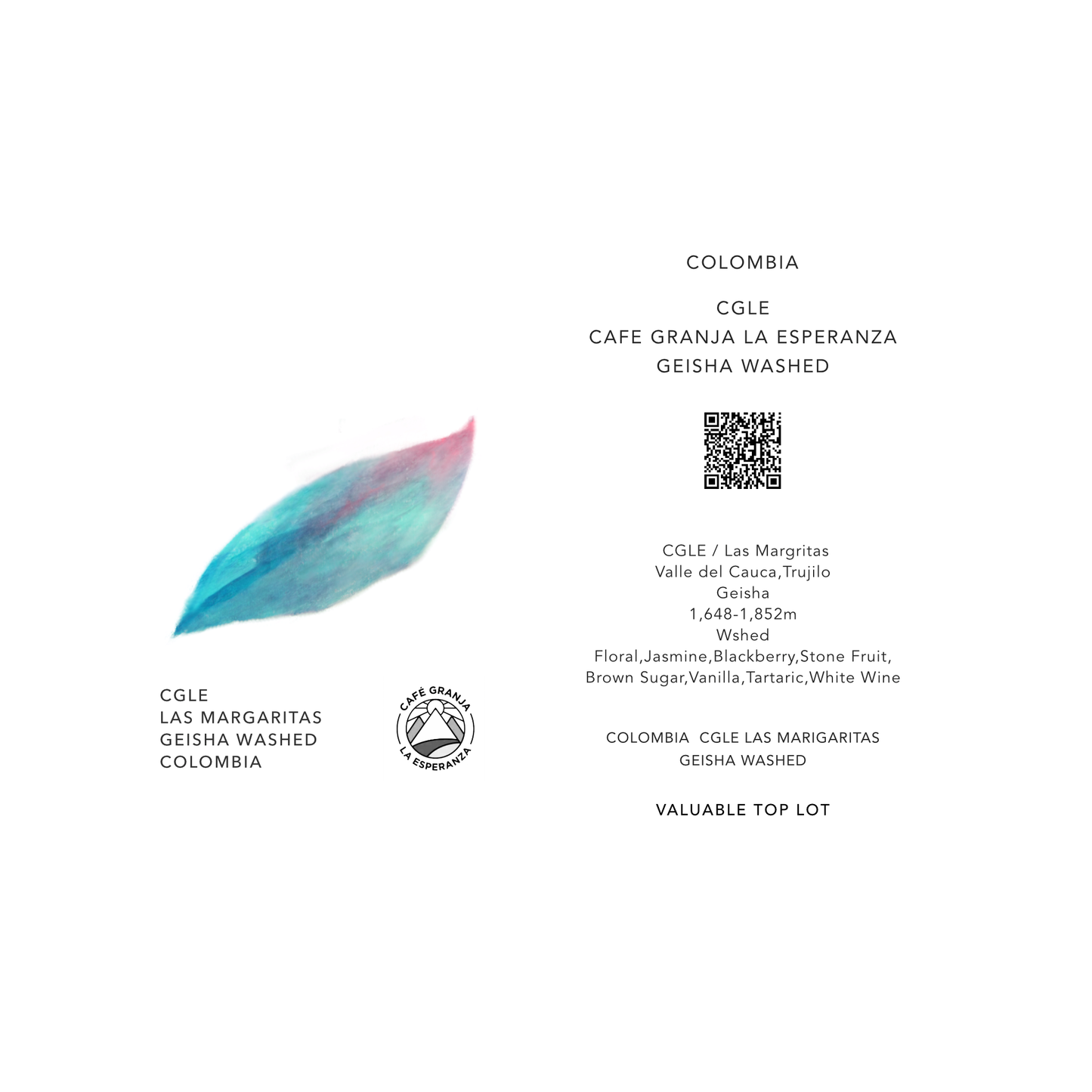 "CGLE" LAS MARGARITAS GEISHA / COLOMBIA