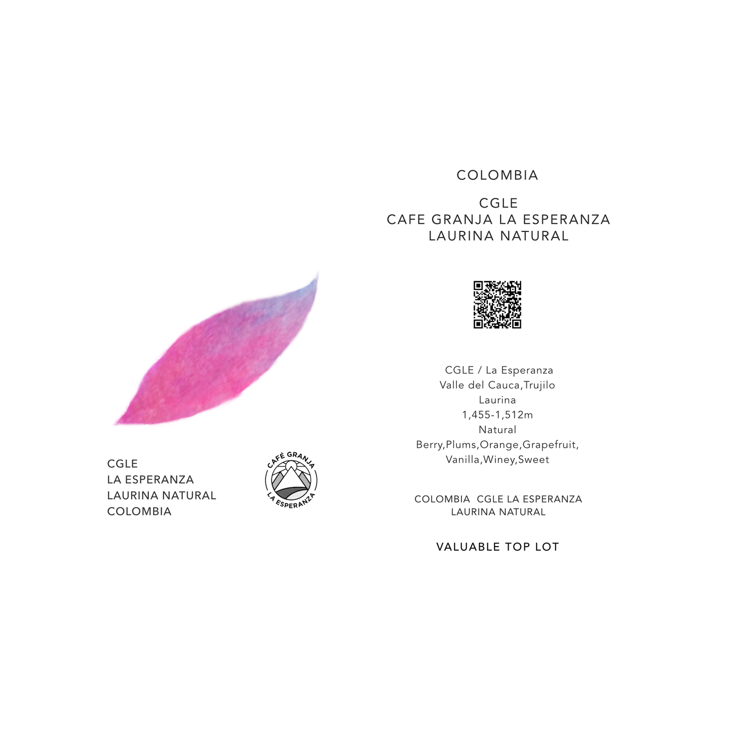 "CGLE" LA ESPERANZA LAURINA / COLOMBIA