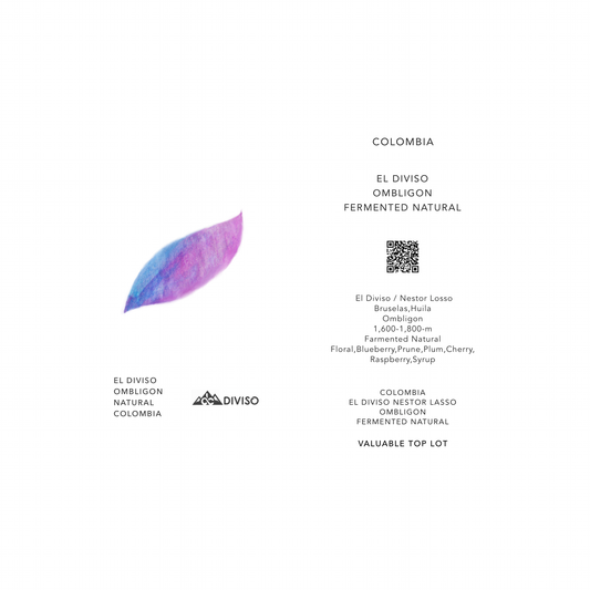 EL DIVISO OMBLIGON / COLOMBIA