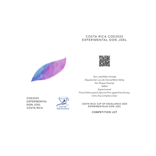 COE 2025 EXPERIMENTAL DON JOEL / COSTA RICA