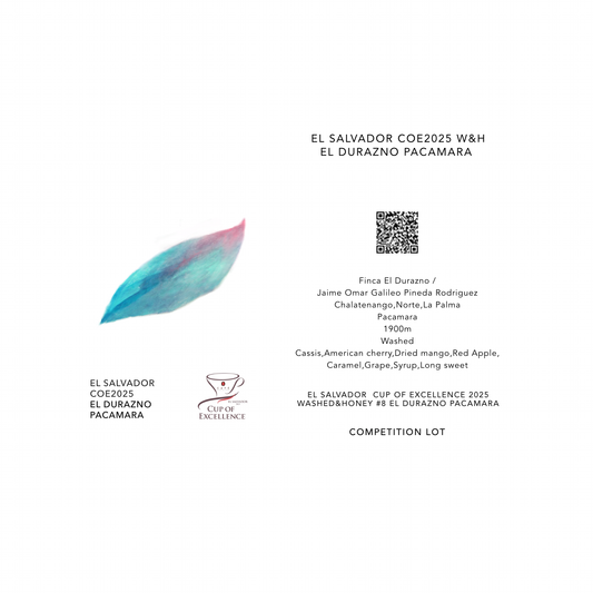 COE 2025 W&H EL DURAZNO PACAMARA / EL SALVADOR