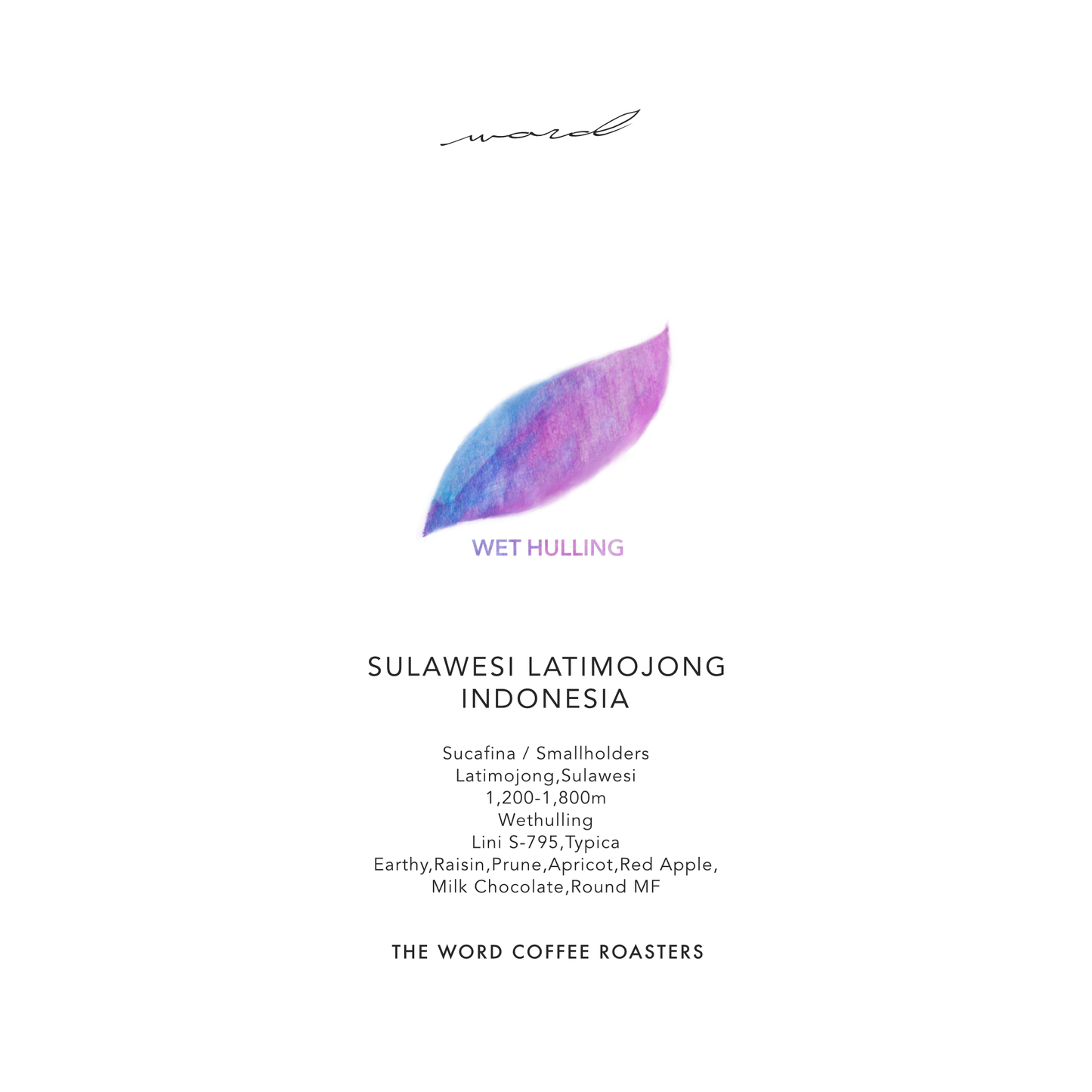 SULAWESI LATIMOJONG / INDONESIA