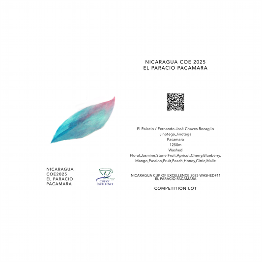 COE 2025 EL PARACIO PACAMARA / NICARAGUA