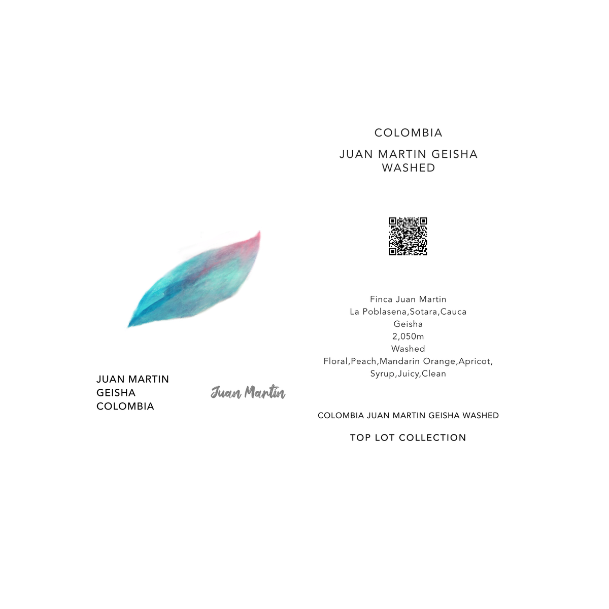 JUAN MARTIN GEISHA / COLOMBIA