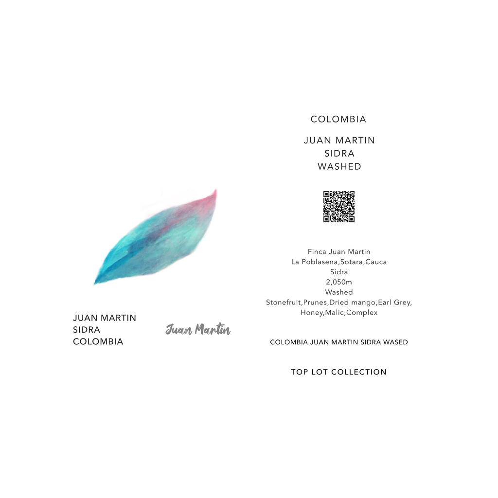 JUAN MARTIN SIDRA / COLOMBIA