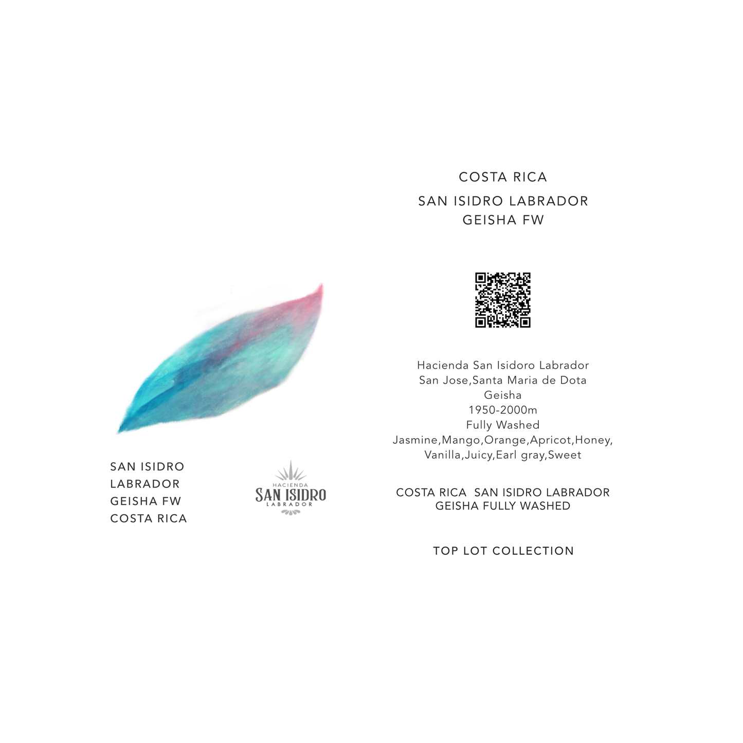 SAN ISIDRO LABRADOR GEISHA / COSTA RICA