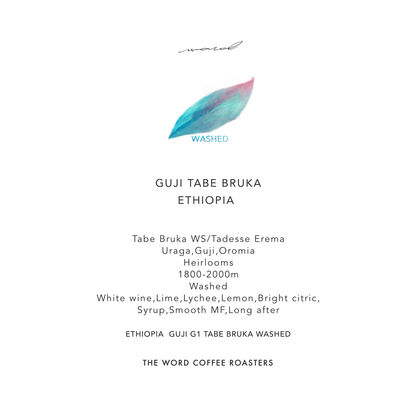GUJI TABE BRUKA / ETHIOPIA