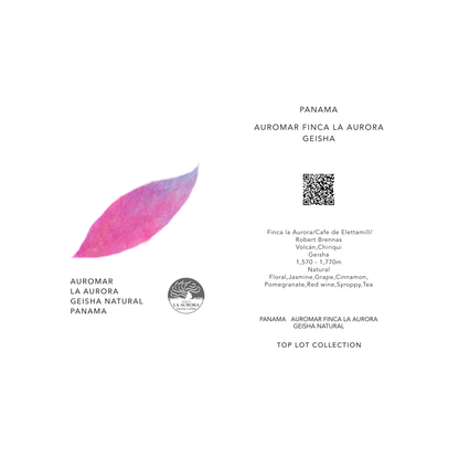 AURORA FINCA LA AURORA GEISHA / PANAMA