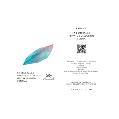 AURORA FINCA LA AURORA GEISHA / PANAMA
