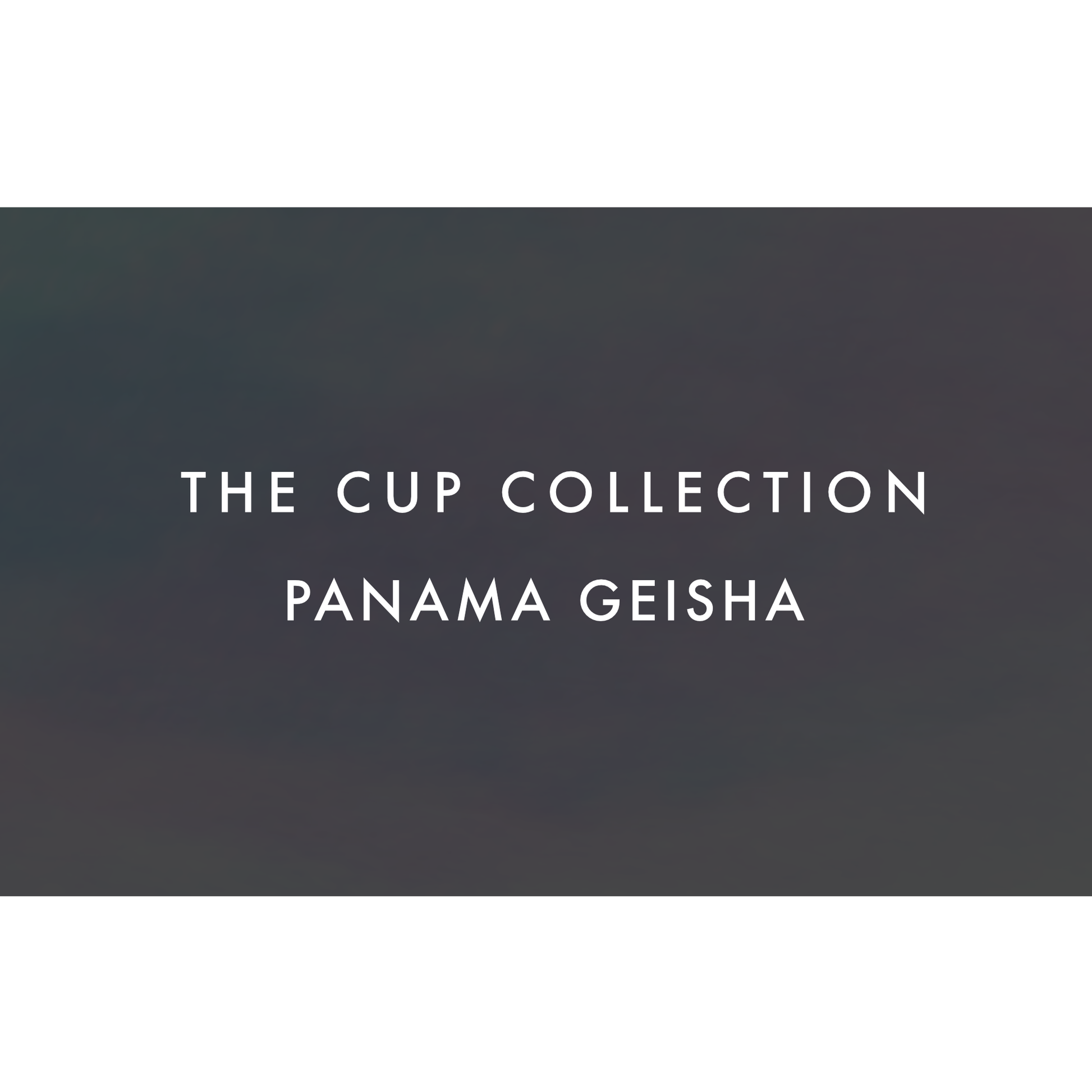 THE CUP COLLECTION：PANAMA GEISHA|ザ・カップ コレクション：パナマ ゲイシャ|TOP LOT PANAMA GEISHAの 1Cup分（焙煎豆14g）のコレクション|THE WORD COFFEE ROASTERS TOKYO JAPAN|東京 葛飾区 奥戸 新小岩 立石 ザ・ワードコーヒー スペシャルティコーヒー専門店
