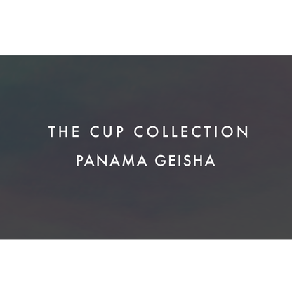 THE CUP COLLECTION：PANAMA GEISHA|ザ・カップ コレクション：パナマ ゲイシャ|TOP LOT PANAMA GEISHAの 1Cup分（焙煎豆14g）のコレクション|THE WORD COFFEE ROASTERS TOKYO JAPAN|東京 葛飾区 奥戸 新小岩 立石 ザ・ワードコーヒー スペシャルティコーヒー専門店
