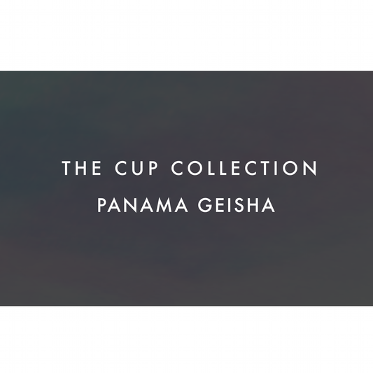 THE CUP COLLECTION：PANAMA GEISHA|ザ・カップ コレクション：パナマ ゲイシャ|TOP LOT PANAMA GEISHAの 1Cup分（焙煎豆14g）のコレクション|THE WORD COFFEE ROASTERS TOKYO JAPAN|東京 葛飾区 奥戸 新小岩 立石 ザ・ワードコーヒー スペシャルティコーヒー専門店
