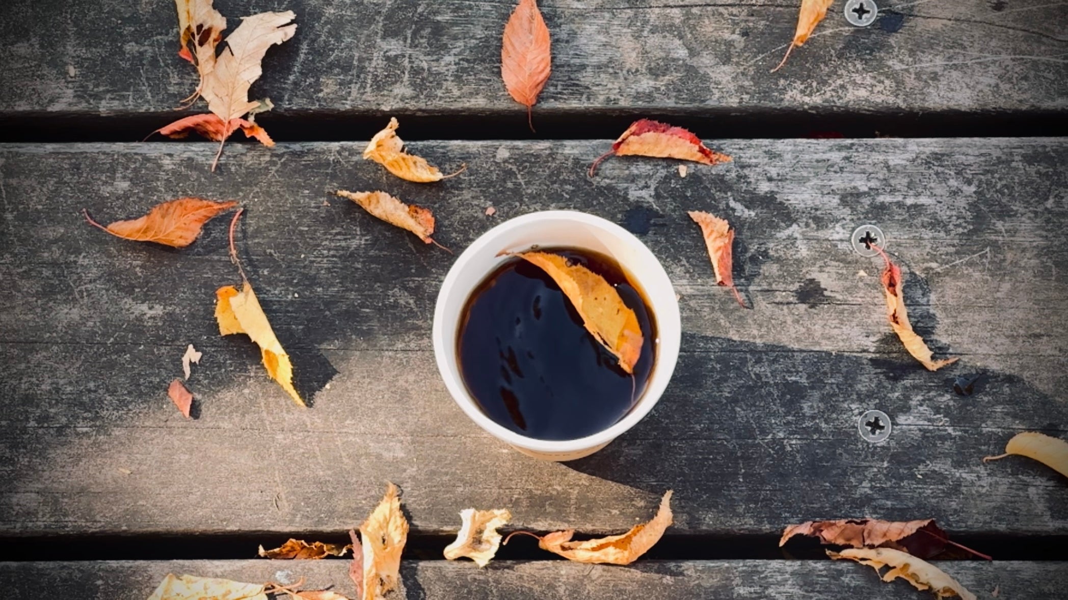 動画を読み込む: 